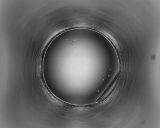 X0000097001000200802151410