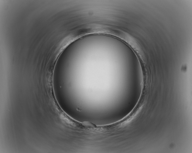 X0000097001001200802151410