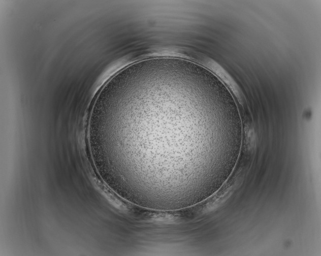 X0000097001002200802151410