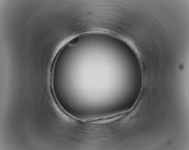 X0000097001003200802151410