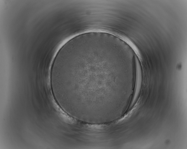 X0000097001004200802151410