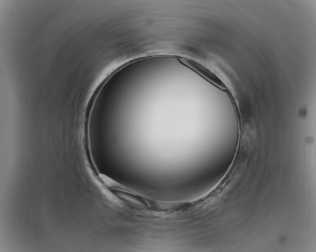 X0000097001005200802151410