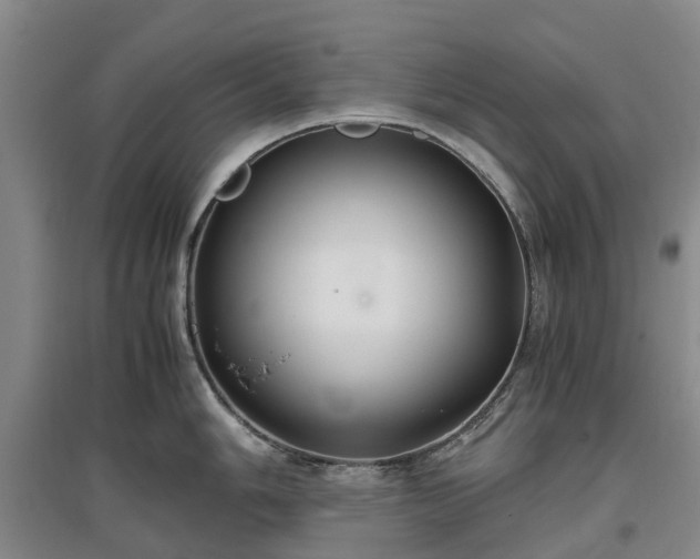 X0000097001006200802151410