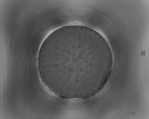 X0000097001008200802151410