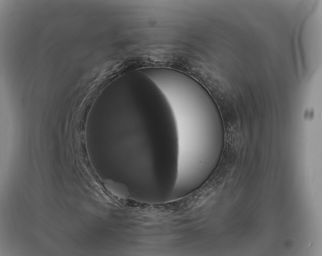 X0000097001009200802151409