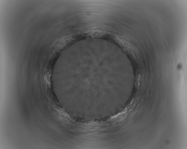 X0000097001010200802151409