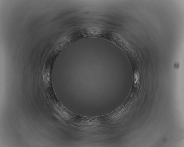 X0000097001011200802151409