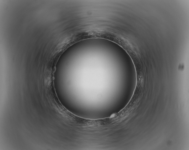 X0000097001012200802151409