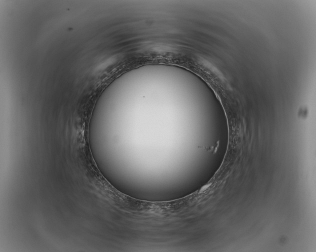 X0000097001013200802151409