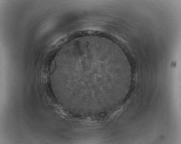 X0000097001014200802151410