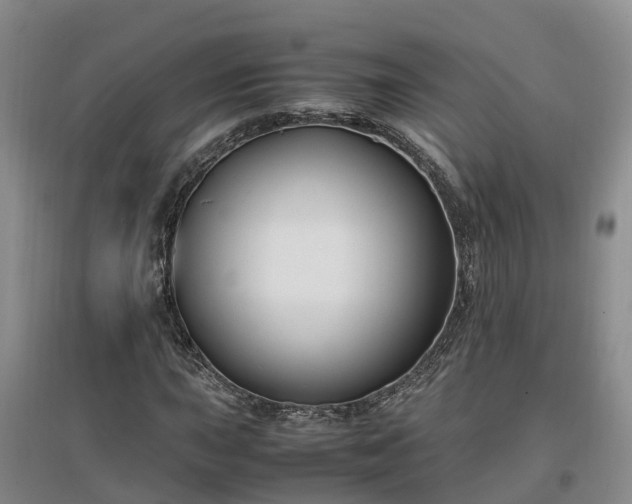 X0000097001015200802151410