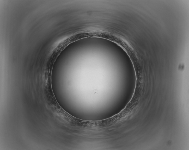 X0000097001016200802151410