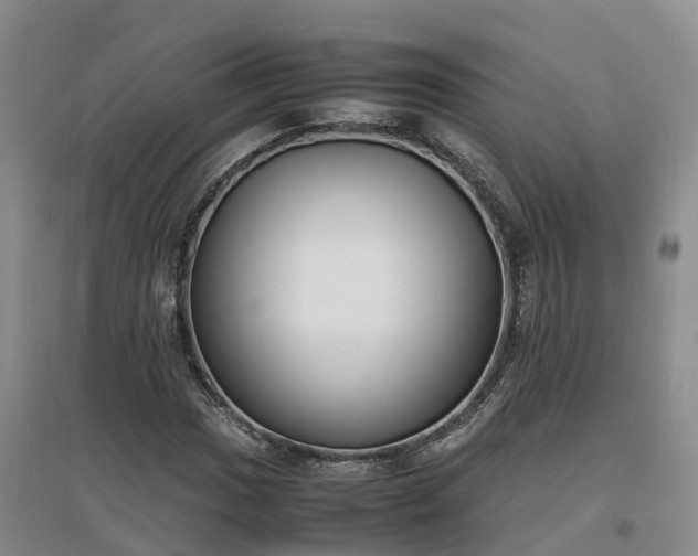 X0000097001017200802151410