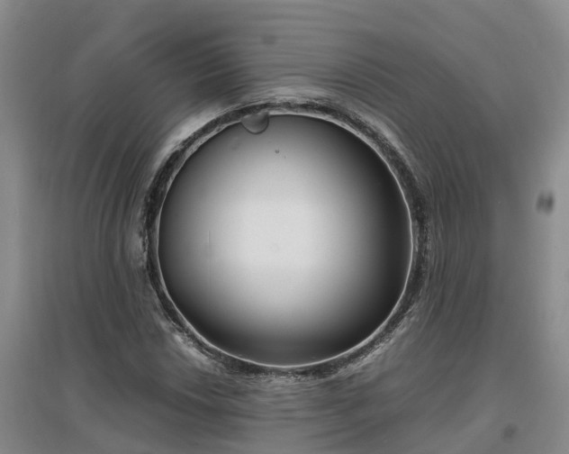 X0000097001018200802151410
