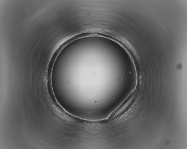 X0000097001020200802151410
