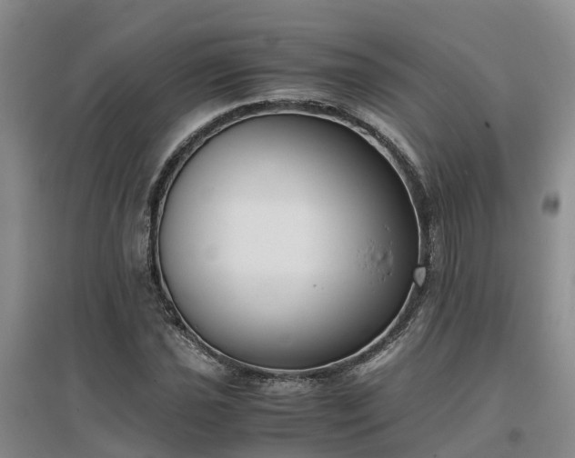 X0000097001021200802151410