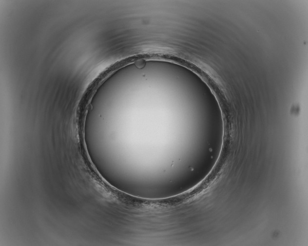 X0000097001022200802151410