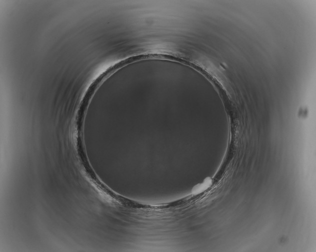 X0000097001024200802151410