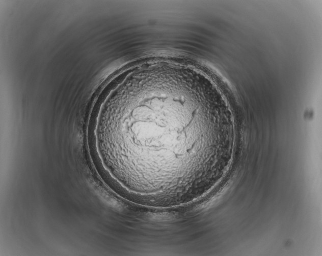 X0000097001025200802151410