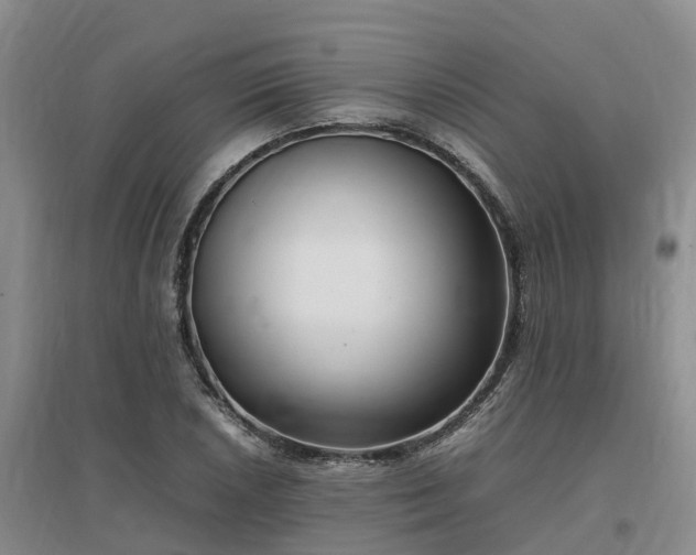 X0000097001026200802151410