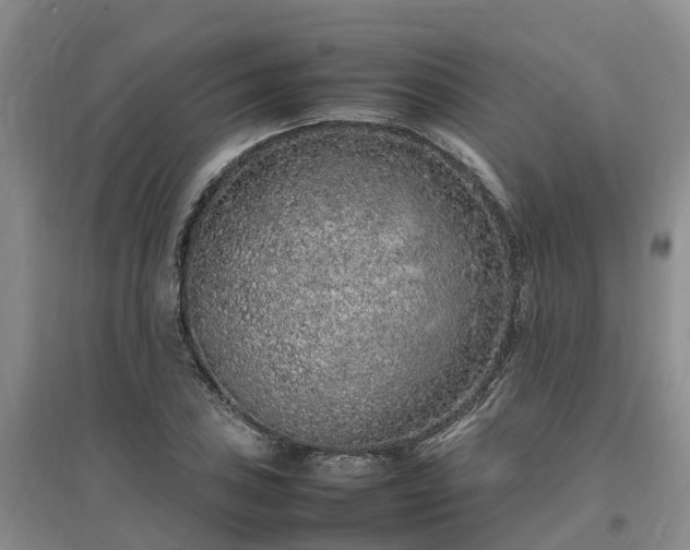 X0000097001027200802151410