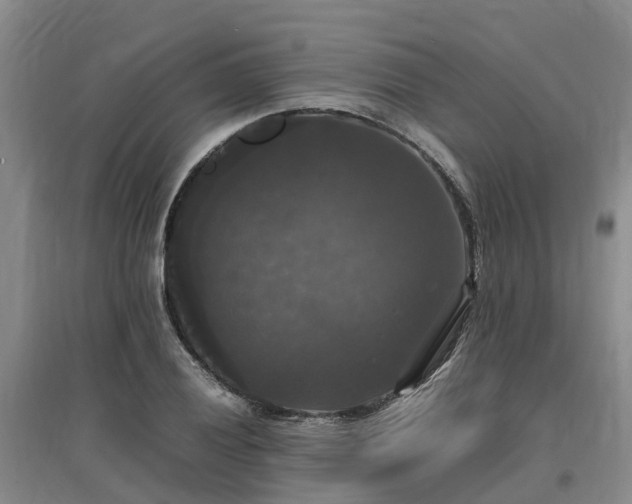 X0000097001028200802151410