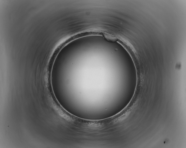 X0000097001029200802151410