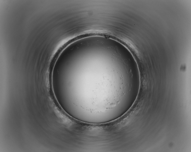 X0000097001030200802151410