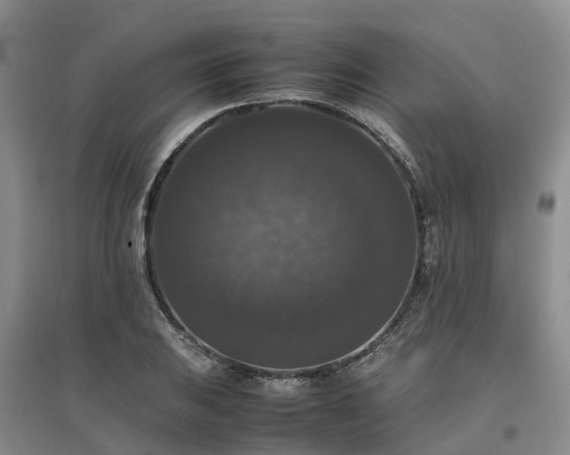 X0000097001031200802151410