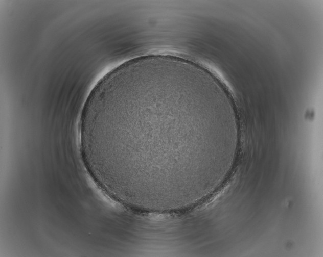 X0000097001032200802151410