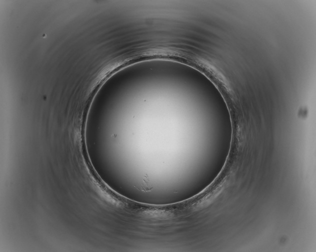 X0000097001033200802151410