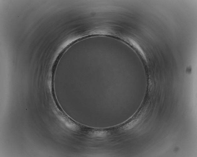 X0000097001035200802151410
