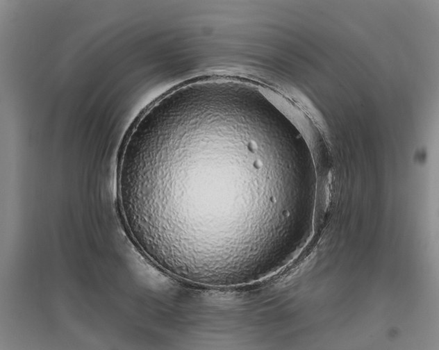 X0000097001036200802151410