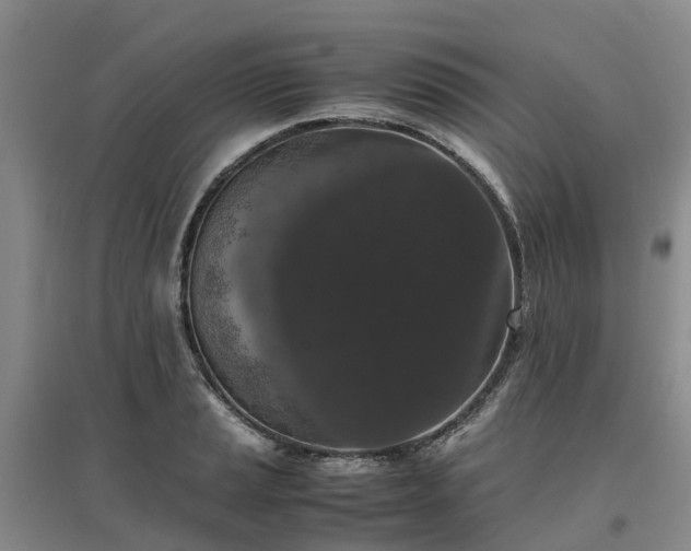 X0000097001037200802151410