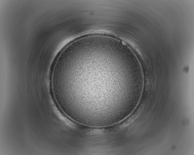 X0000097001038200802151410