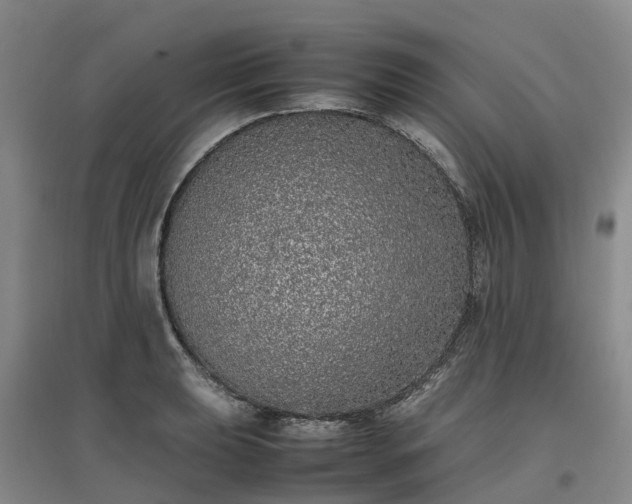 X0000097001039200802151410