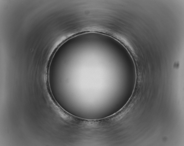 X0000097001040200802151410