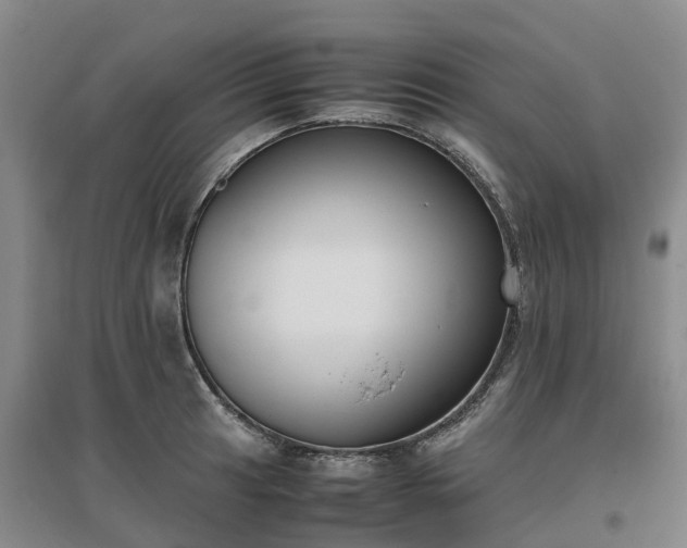 X0000097001041200802151410