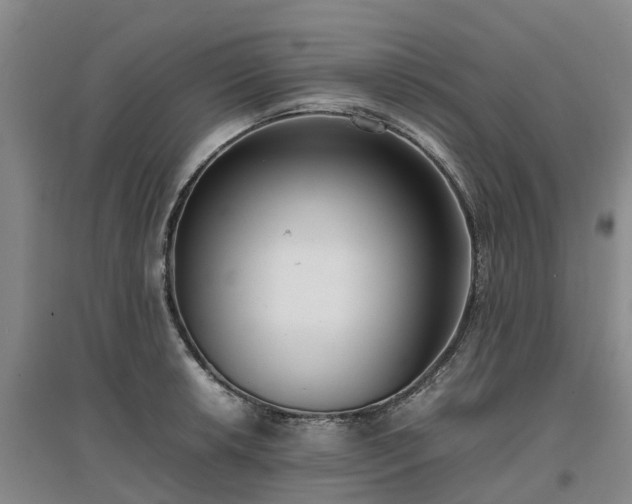 X0000097001042200802151410