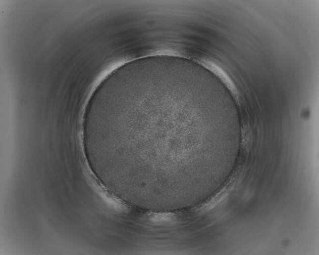 X0000097001043200802151410