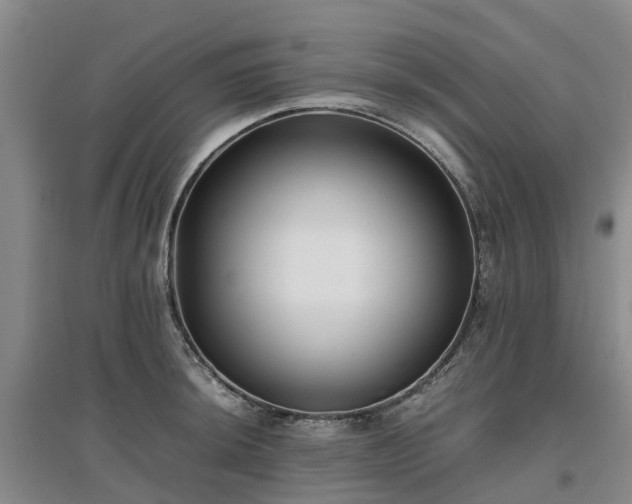 X0000097001044200802151410
