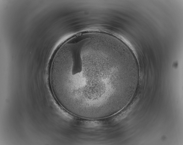 X0000097001045200802151410