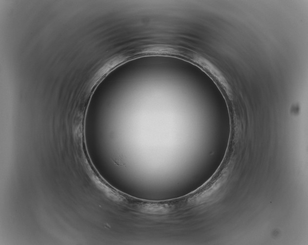 X0000097001049200802151410