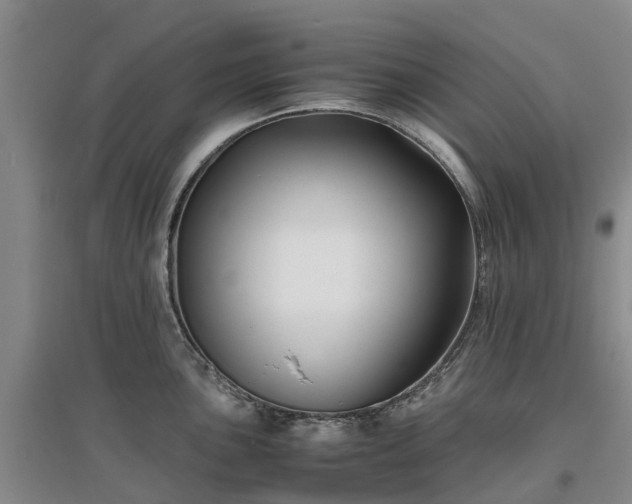 X0000097001051200802151410