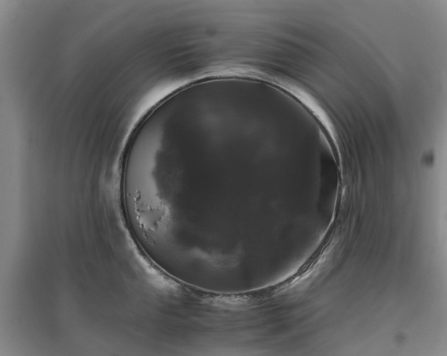 X0000097001053200802151410