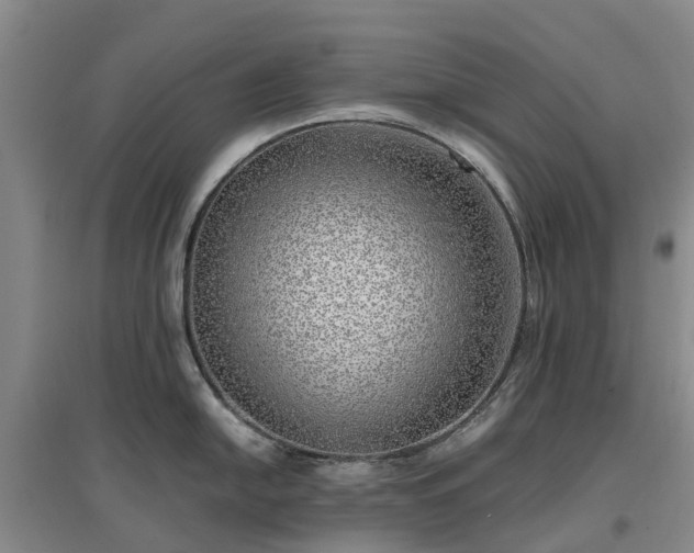 X0000097001054200802151410