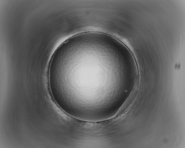 X0000097001056200802151410
