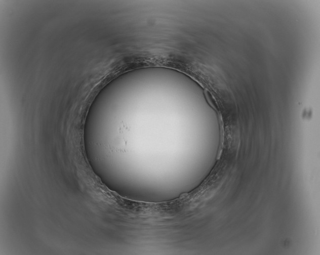 X0000097001057200802151409