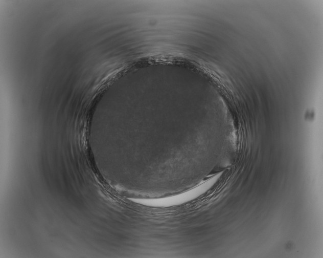 X0000097001060200802151409