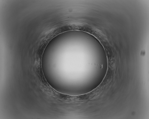 X0000097001061200802151409